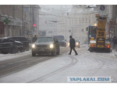 На волосок от смерти или "Зима и Вася"