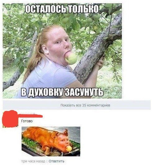 Скотсети и прочие интернеты 05.03.18