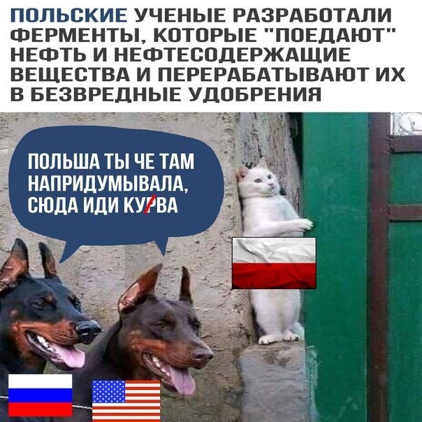 Не очень адекватный юмор