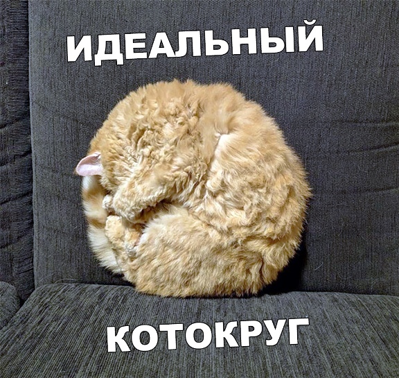 Картинки с надписями, истории и анекдоты 13.09.19