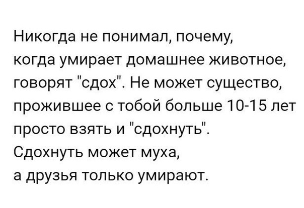 Чуток картинок. 08.01.2020