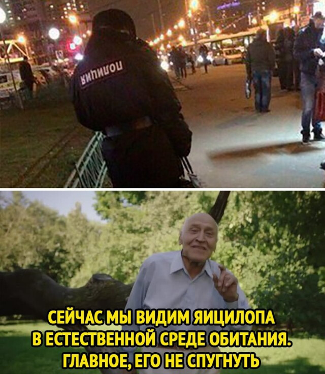 Фотки и картинки: юморные и красивые, забавные и милые 09.11.20