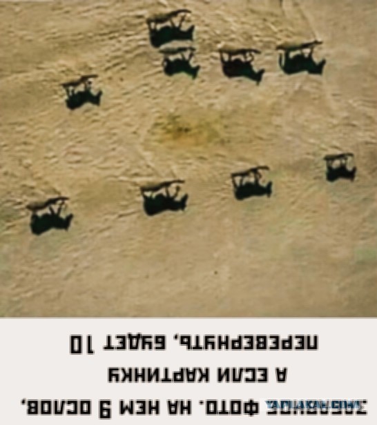 Весёлый полтишок 25.05