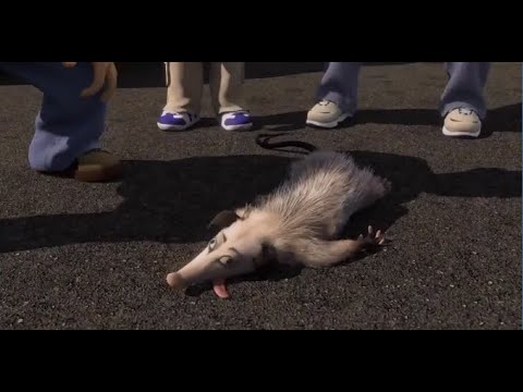 Триллер на ночь глядя