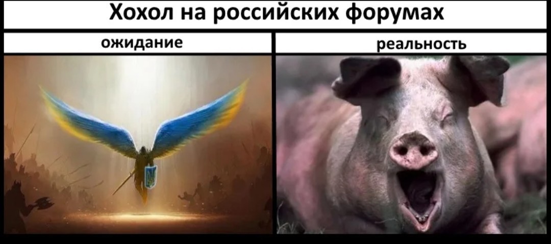 а тому ли я дала мем