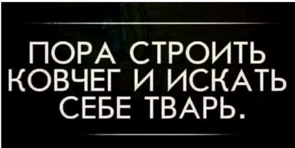 Так себе картинки 25.10.22