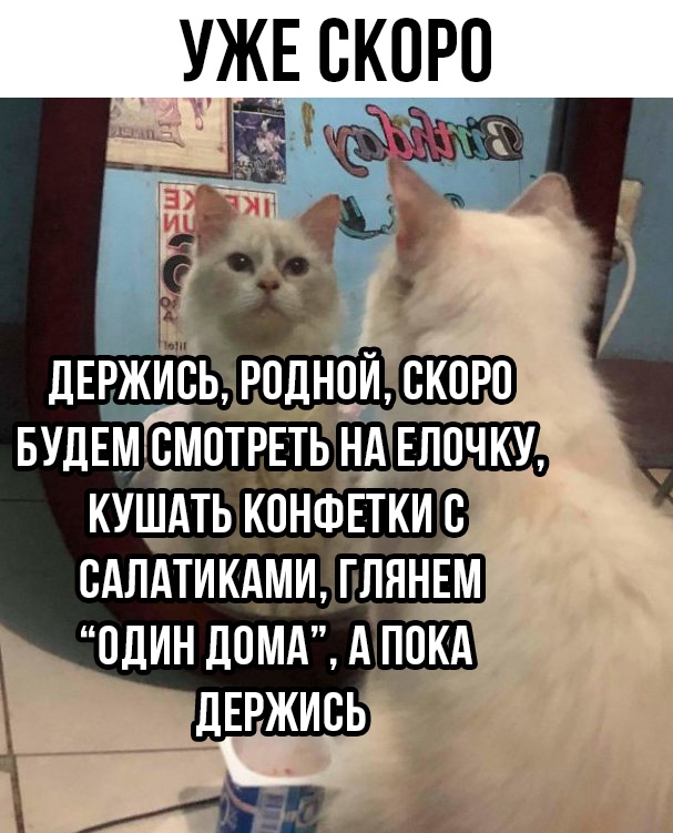 Картинки и мемы, всем хороших выходных
