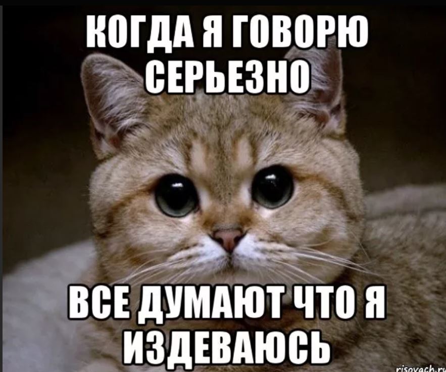 Сучара Картинки