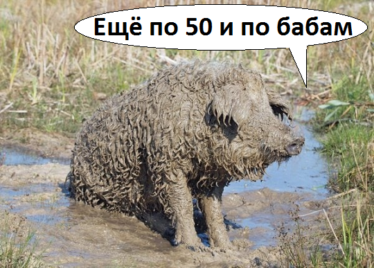 Алкопост  21.01.23