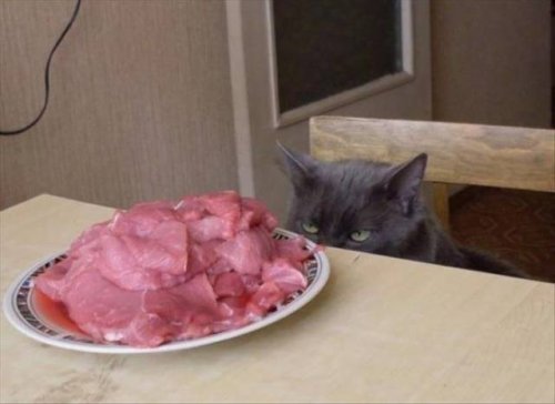 Кто первый сдастся?