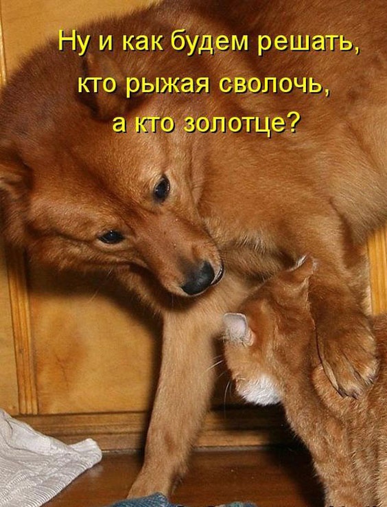 Дратути