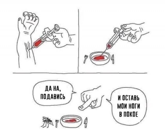 Приколы с налетом деградации