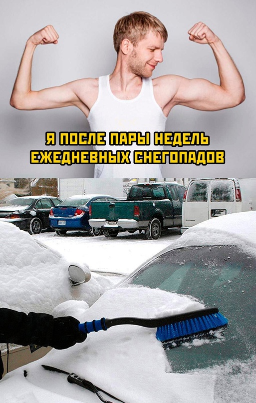 Весёлый полтишок 11.01.23