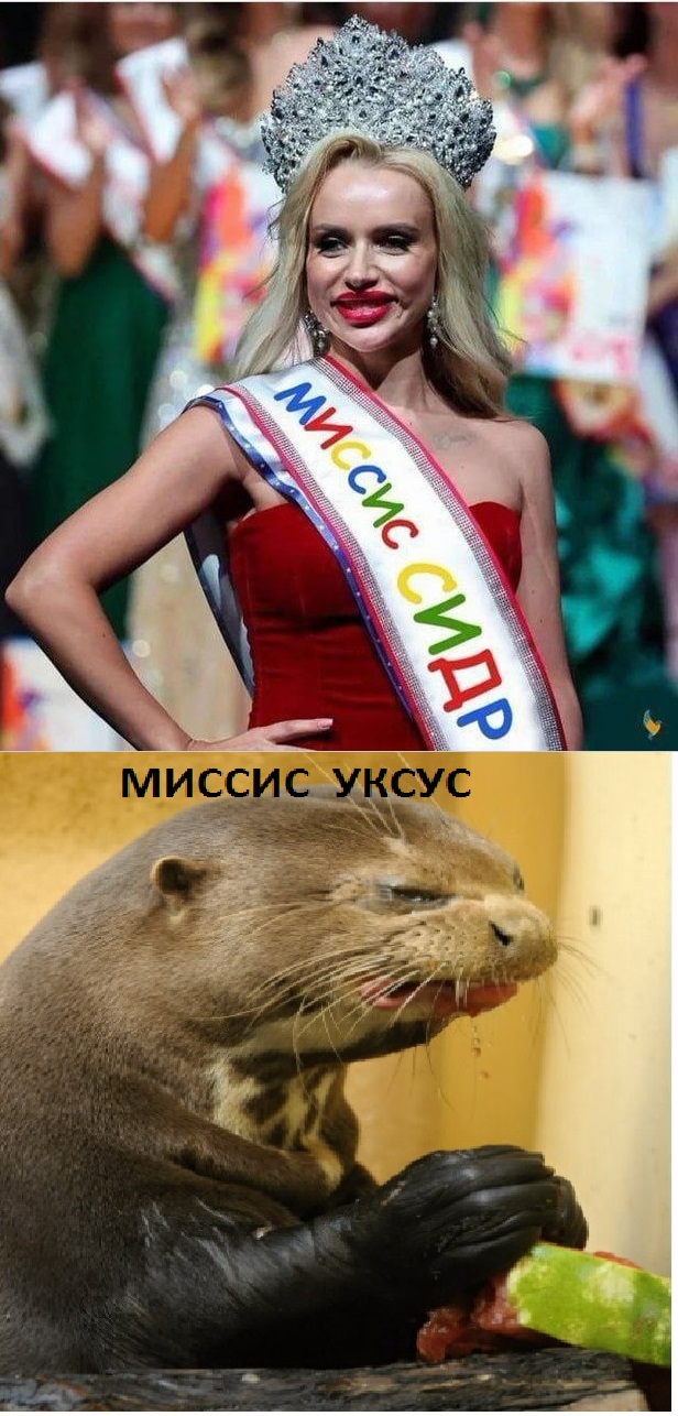 Веселые картинки к пятнице (07.06)
