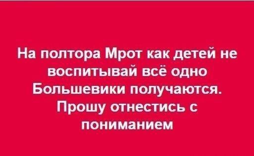 19373818.jpg