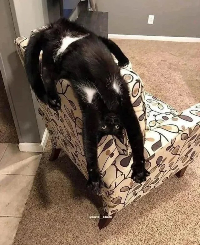 Добрый утр