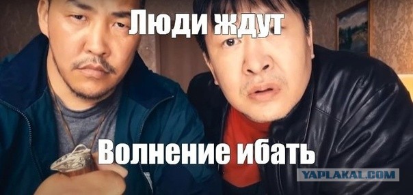 Чем занимаются японцы у себя на даче
