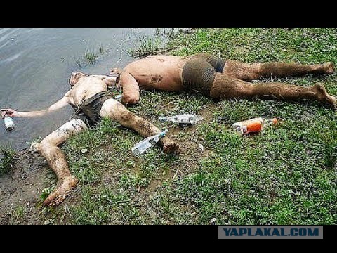 Почему моряки не ловили рыбу?