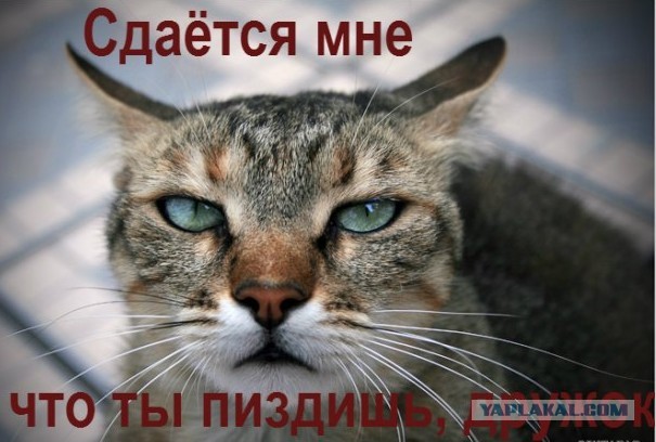 Свингерское счастье