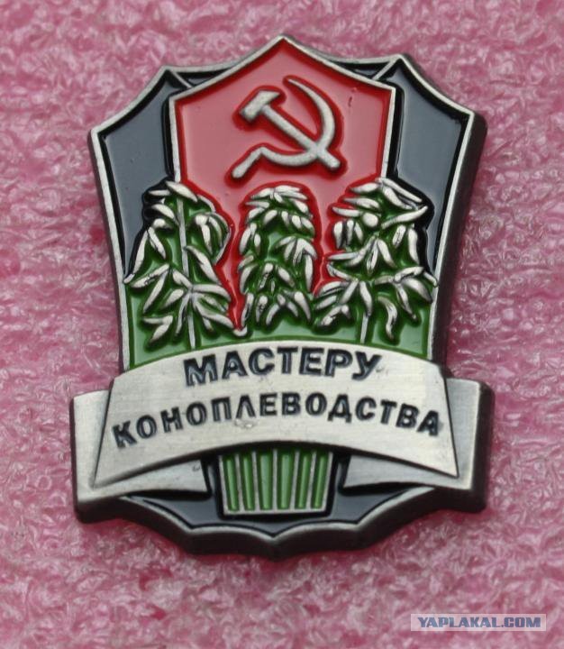 Повязали агронома