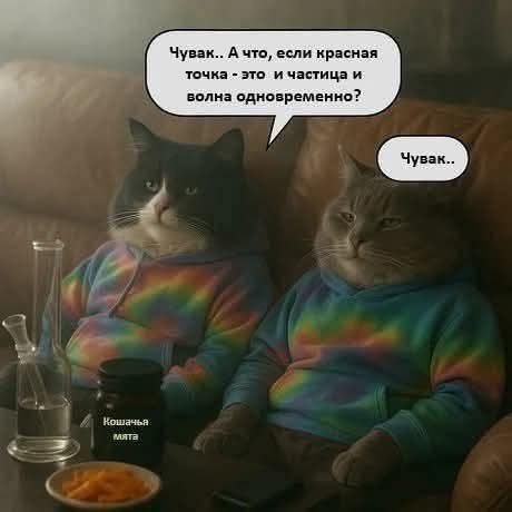 К котовторнику: подборка картинок-баянов с котиками и про котиков. Выпуск 17