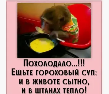 Куриная лапша