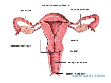 Если бы ЯПъ был контурной картой. Составляющие