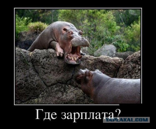 С миру по нитке. Демотиваторов чуть