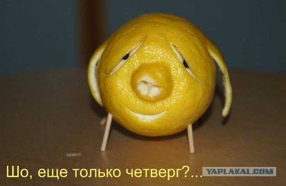 Лимон на подоконнике