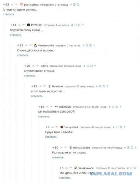 комментарии из соц сетей.