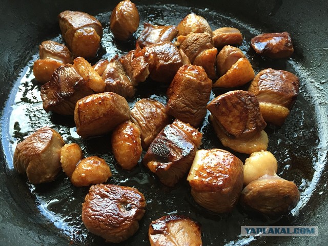 Коммунальные замУтки