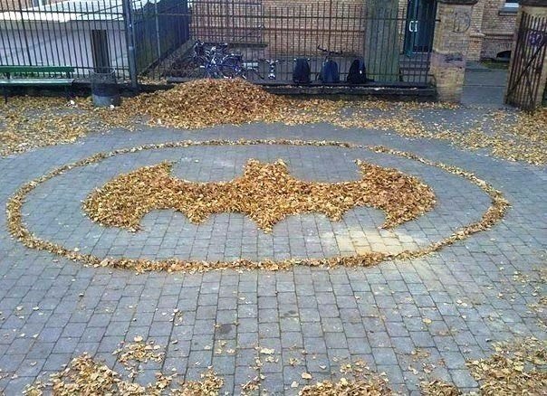 Интересные и веселые картинки