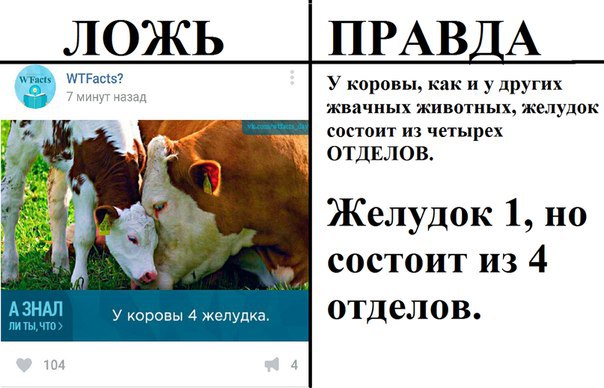 В интернете могут врать?