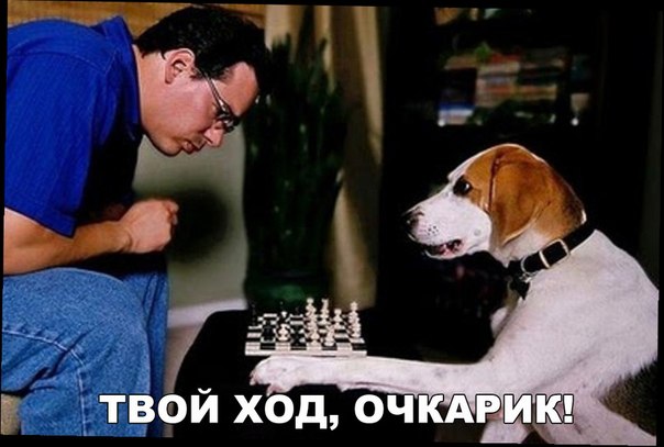 Подборка интересных и веселых фото