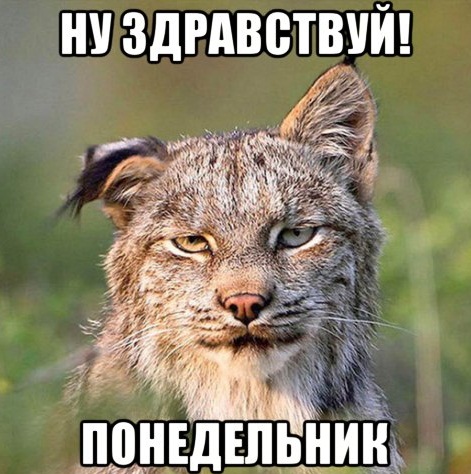 Порция картинок