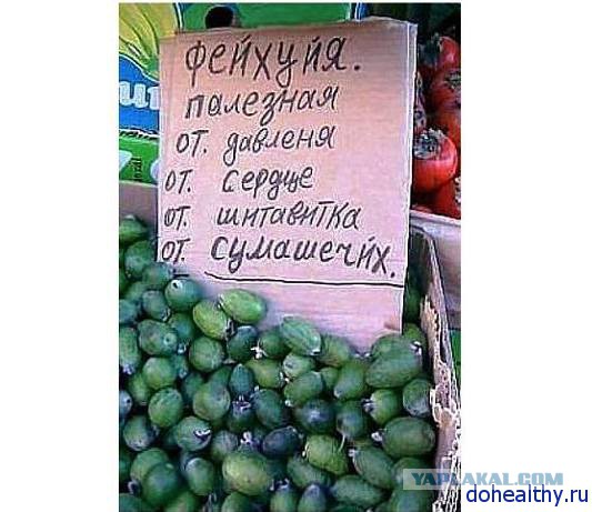 Футбол Чемпионат России 2016-17. Кубок России,РФПЛ,ФНЛ. Часть XIV