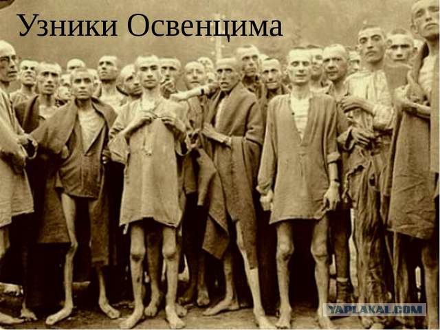 18-летняя девушка выставила на продажу свою девственность, чтобы оплатить учёбу