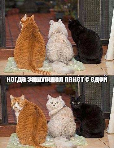 Просто веселые картинки. Иногда абсурдные, а иногда и с черным юмором