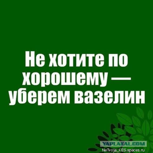 Володин: Владимир Путин — единственный кандидат в президенты на выборах 2018 года