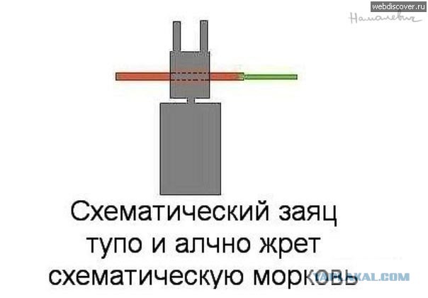 Триллер глазами микроскопа
