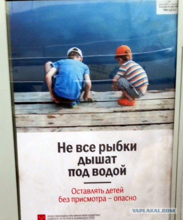 Подборка интересных и веселых картинок