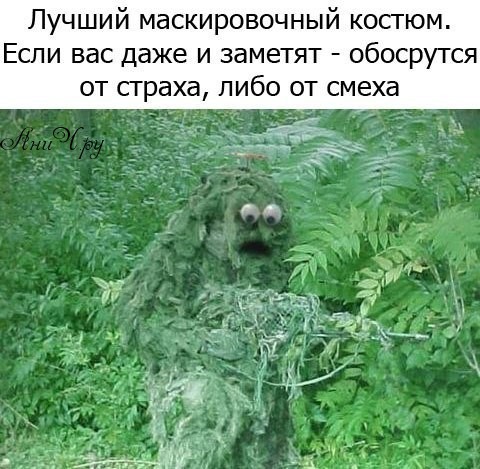 Камуфляжные фотки