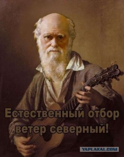 Видео момента гибели голой российской туристки в Доминикане, 18+
