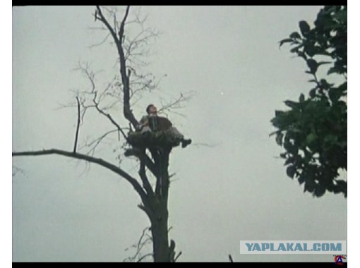 я ходил по белу свету знался с умными людьми. я ходил по белу свету слушать. караченцев в фильме белые росы. шура я по белу свету хожу брожу. серенада пьеро ноты.