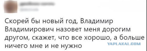Вот и проходит год (опрос)