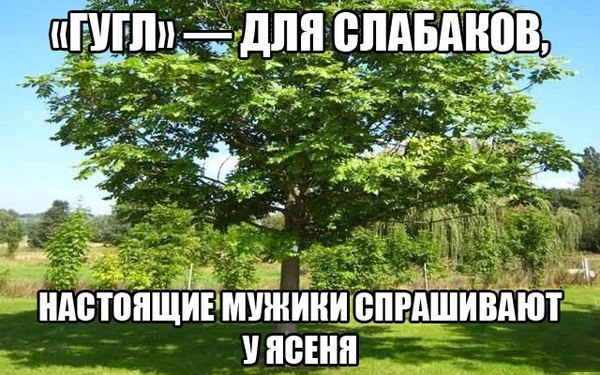 Тупик эволюции