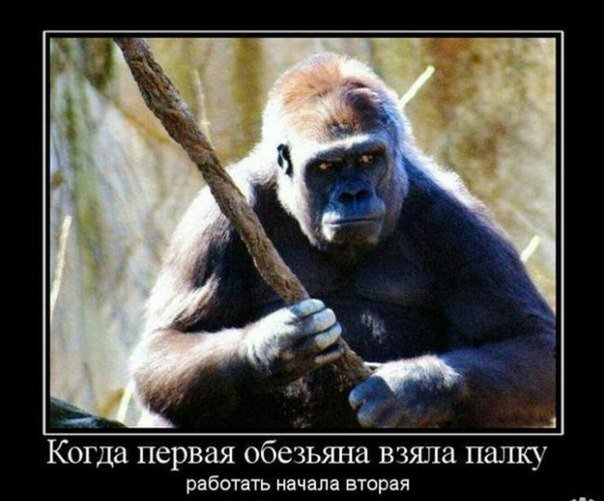 Министр образования Индии против эволюции
