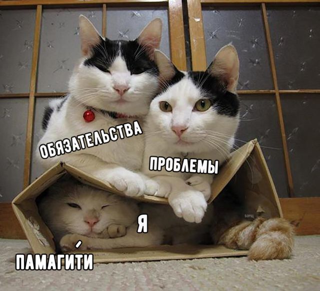 Начинаем трудо выебудни!