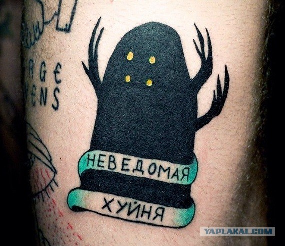 Помогите опознать букашку! Я НА ПАНИКЕ!