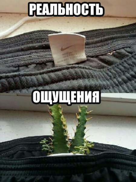 Немного картинок в этот четверг